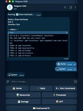 Command output with the System menu open