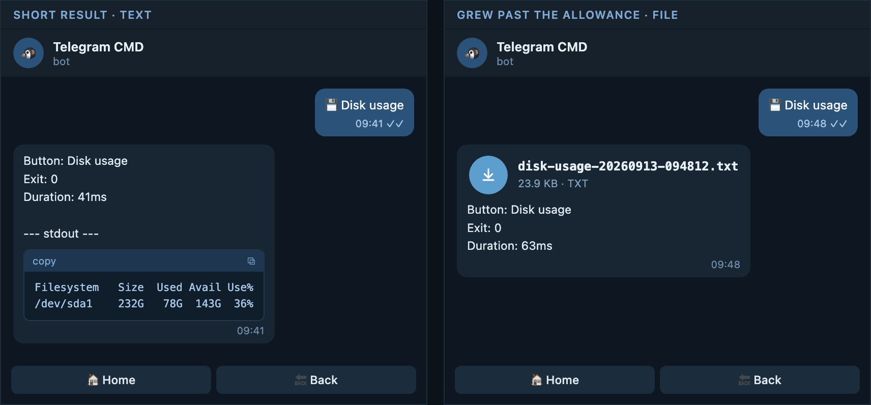 The same button as a message and as a file