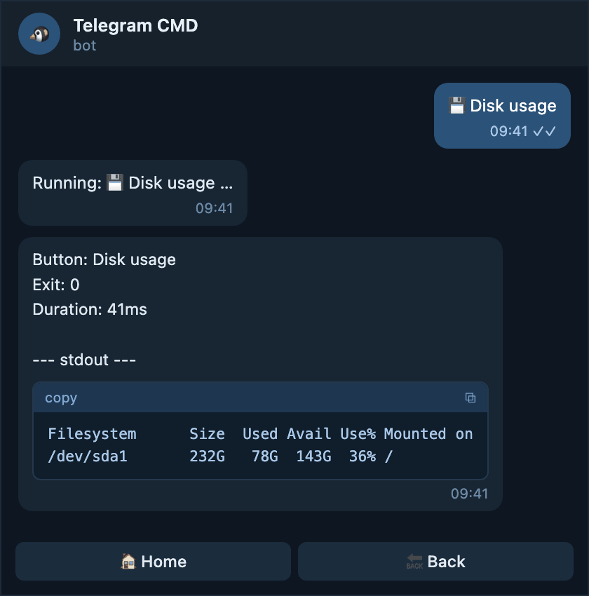 Disk usage returned as one Telegram message