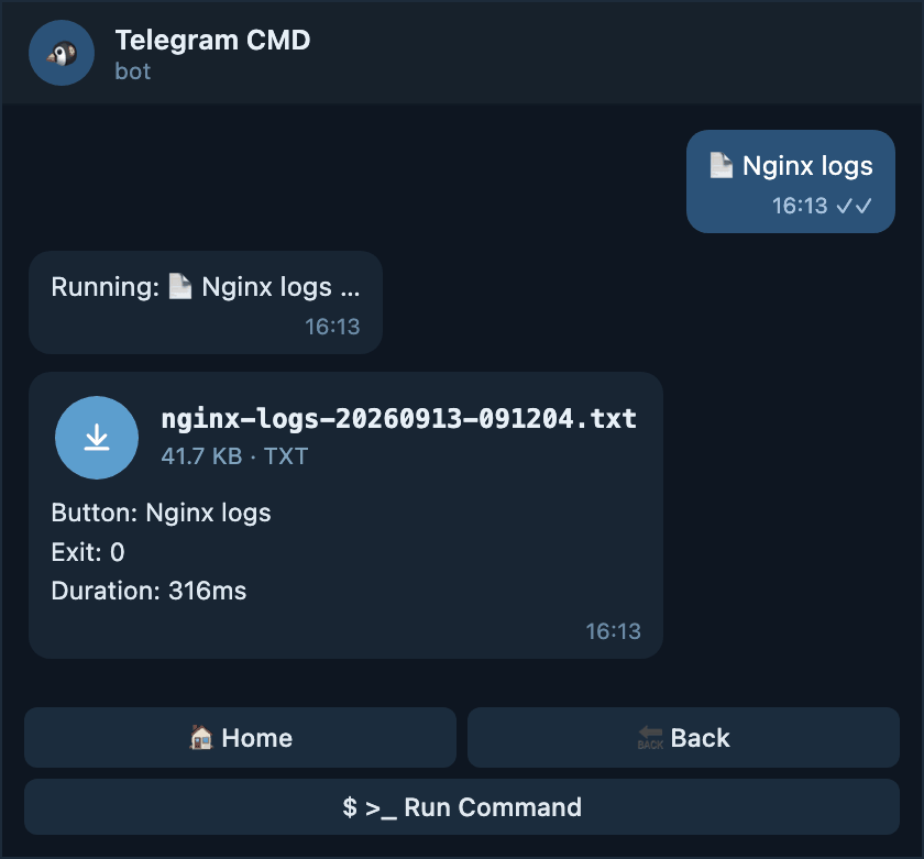 A command result delivered as a Telegram file