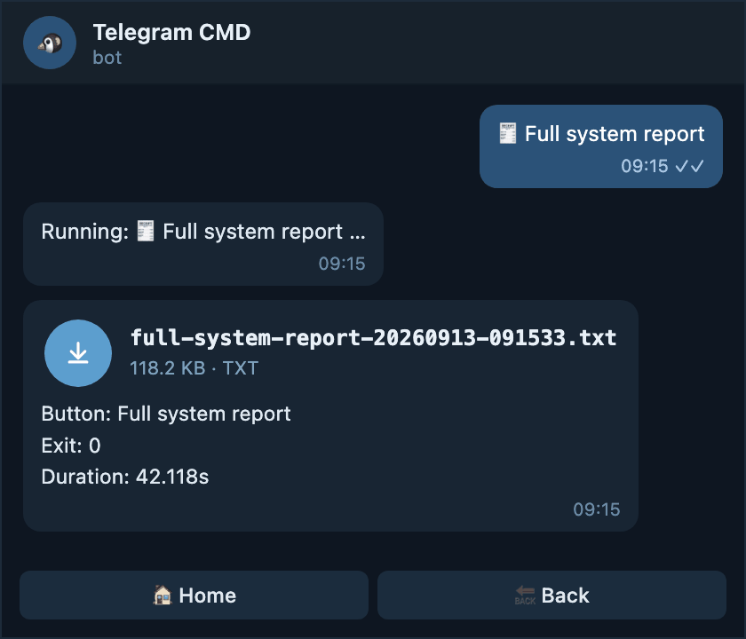 A full system report delivered as a Telegram file